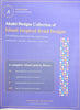 Kumihimo Kongo Gumi "Island Inspired Braid Designs" - Digital Pattern from Hawai'i