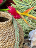Hawaiian Beaded Necklace Rope™ - Matte Green with Terra-Cotta (24")