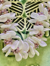 Frosted White & Lavender Beaded Hawaiian Haku Rose Petal Lei - 23"